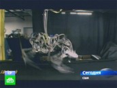 В Пентагоне сделали жуткого робота-гепарда