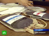 Дочь сектантов два дня умирала на глазах у врачей