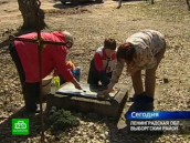 ������ �� ������: ����� �������� ������ ������� �� ������� ����������. ���� ��������� ������������� ���� ������ �� ��������� � �������� ���������� � ��������� ������� ������������ ������, ��� ������������ �������� �����. ��������� ������� �� ������� �����������, � �������� ������������� �� ����. �������, ��������, ���������, ������������� �������, �������������, ���������. ���.Ru: �������, �����, ��������� ���������� ���