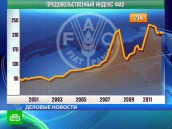 Во всем мире подешевела еда