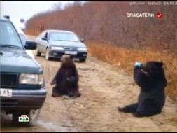������������� ������������ � �������� ��� ��������. ������, �������, �������, ���������. ���.Ru: �������, �����, ��������� ���������� ���