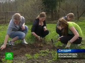 Аграрная школа стала университетом жизни для сирот