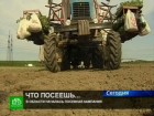 Областная капуста петербургским магазинам не нужна. Аграрии показали СМИ, как проходит весенняя посевная и рассказали, какие проблемы преследуют сельское хозяйство. Ленинградская область, Санкт-Петербург, сельское хозяйство. НТВ.Ru: новости, видео, программы телеканала НТВ Областная капуста петербургским магазинам не нужна. Аграрии показали СМИ, как проходит весенняя посевная и рассказали, какие проблемы преследуют сельское хозяйство. Ленинградская область, Санкт-Петербург, сельское хозяйство. НТВ.Ru: новости, видео, программы телеканала НТВ
