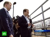Медведев протянул руку помощи животноводам