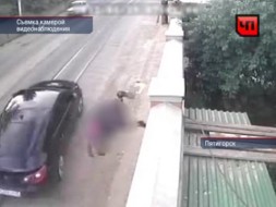 <nobr>��������-������</nobr> ��������� ���������