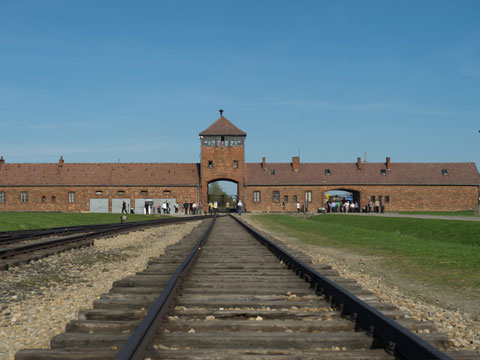 Скорбящие потомки разворовывают Освенцим. Италия, кража, Освенцим, Польша, туризм. НТВ.Ru: новости, видео, программы телеканала НТВ Скорбящие потомки разворовывают Освенцим. Италия, кража, Освенцим, Польша, туризм. НТВ.Ru: новости, видео, программы телеканала НТВ