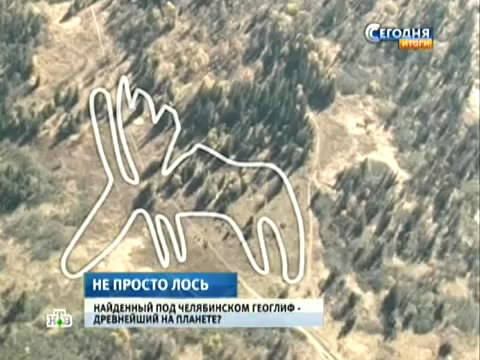 документальные фильмы про лося