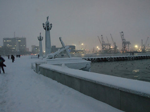 Курс доллара народный