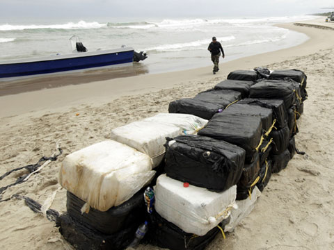 Около 100 кг кокаина морское течение прибило к берегам Дании Cocs