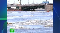 ��� ������� ����������� ������� � ���������� ���� �������� ������ �������� ����. ��������� � �������� � ����������� � ���������� ������������� ������ �� ����� �� ��� ���. ��������� �������� ������ � �������. ��������������� ��� ������ ��. ������, �����, �����, ����, �����-���������. ���.Ru: �������, �����, ��������� ���������� ���