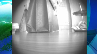����� &laquo;��������&raquo; ���� ������ ��� �������� ������� ������