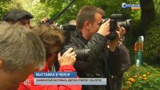 Цветочная выставка в Челси Цветочная выставка в Челси