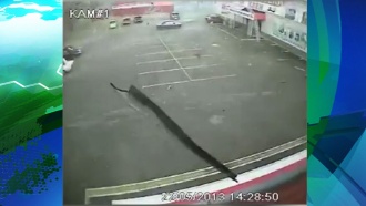 ������ ���������� ���� �� ������ �� ����� ������� ��� �����