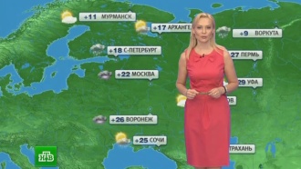 �������� ������� ������ �� 25&nbsp;���