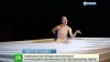 сектор газа израиль что это сектор газа израиль что это