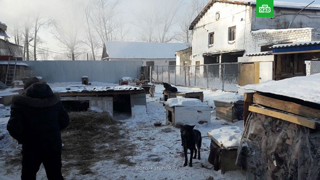 Более 30 животных погибли при пожаре в приюте в Бийске.
Алтайский край, животные, пожары, приюты для животных.
НТВ.Ru: новости, видео, программы телеканала НТВ Более 30 животных погибли при пожаре в приюте в Бийске.
Алтайский край, животные, пожары, приюты для животных.
НТВ.Ru: новости, видео, программы телеканала НТВ