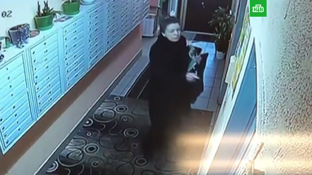 Голод, грязь и одиночество: как спасали московскую девочку-маугли.
дети и подростки, МВД, Москва, МЧС.
НТВ.Ru: новости, видео, программы телеканала НТВ Голод, грязь и одиночество: как спасали московскую девочку-маугли.
дети и подростки, МВД, Москва, МЧС.
НТВ.Ru: новости, видео, программы телеканала НТВ