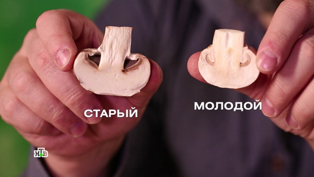 Вся правда о шампиньонах: безопасны ли они для здоровья.
грибы, еда, здоровье.
НТВ.Ru: новости, видео, программы телеканала НТВ Вся правда о шампиньонах: безопасны ли они для здоровья.
грибы, еда, здоровье.
НТВ.Ru: новости, видео, программы телеканала НТВ