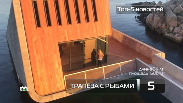 Топ-5 новостей из мира науки и технологий по версии «Чуда техники», 21 апреля.
еда, здоровье, медицина, наука и открытия, рестораны и кафе, технологии.
НТВ.Ru: новости, видео, программы телеканала НТВ Топ-5 новостей из мира науки и технологий по версии «Чуда техники», 21 апреля.
еда, здоровье, медицина, наука и открытия, рестораны и кафе, технологии.
НТВ.Ru: новости, видео, программы телеканала НТВ