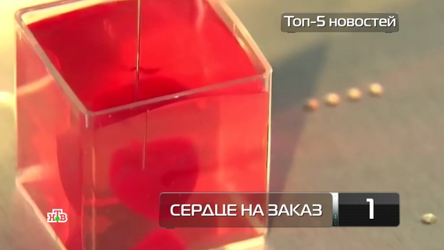 Топ-5 новостей из мира науки и технологий по версии «Чуда техники», 26 мая.
здоровье, изобретения, медицина, наука и открытия, роботы, технологии.
НТВ.Ru: новости, видео, программы телеканала НТВ Топ-5 новостей из мира науки и технологий по версии «Чуда техники», 26 мая.
здоровье, изобретения, медицина, наука и открытия, роботы, технологии.
НТВ.Ru: новости, видео, программы телеканала НТВ