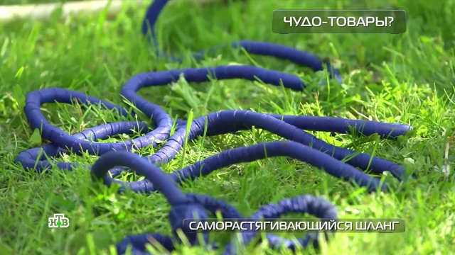 Саморастягивающийся шланг: плюсы и минусы инновации для дачников.
технологии.
НТВ.Ru: новости, видео, программы телеканала НТВ Саморастягивающийся шланг: плюсы и минусы инновации для дачников.
технологии.
НТВ.Ru: новости, видео, программы телеканала НТВ