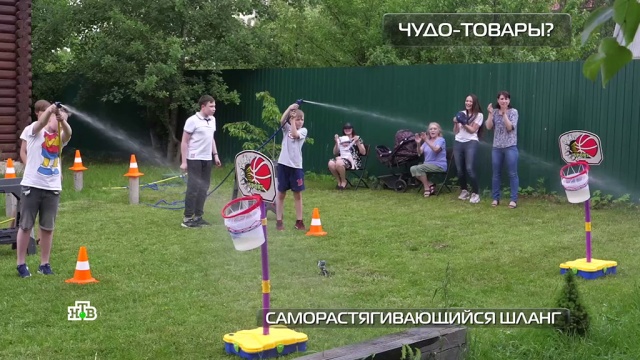 Саморастягивающийся шланг: плюсы и минусы инновации для дачников.
технологии.
НТВ.Ru: новости, видео, программы телеканала НТВ Саморастягивающийся шланг: плюсы и минусы инновации для дачников.
технологии.
НТВ.Ru: новости, видео, программы телеканала НТВ