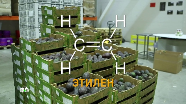 Авокадо-бум: как выбрать суперфрукт и не отравиться косточкой.
еда, здоровье.
НТВ.Ru: новости, видео, программы телеканала НТВ Авокадо-бум: как выбрать суперфрукт и не отравиться косточкой.
еда, здоровье.
НТВ.Ru: новости, видео, программы телеканала НТВ