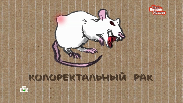 Почему мясо провоцирует старение и рак.
здоровье, мясо, продукты.
НТВ.Ru: новости, видео, программы телеканала НТВ Почему мясо провоцирует старение и рак.
здоровье, мясо, продукты.
НТВ.Ru: новости, видео, программы телеканала НТВ