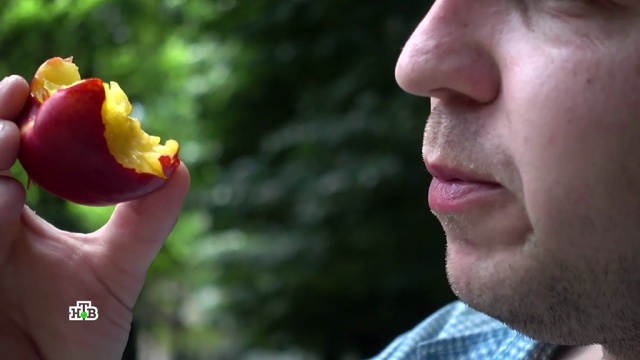 Чем «лысый» персик лучше «пушистого».
лишний вес/диеты/похудение, продукты.
НТВ.Ru: новости, видео, программы телеканала НТВ Чем «лысый» персик лучше «пушистого».
лишний вес/диеты/похудение, продукты.
НТВ.Ru: новости, видео, программы телеканала НТВ