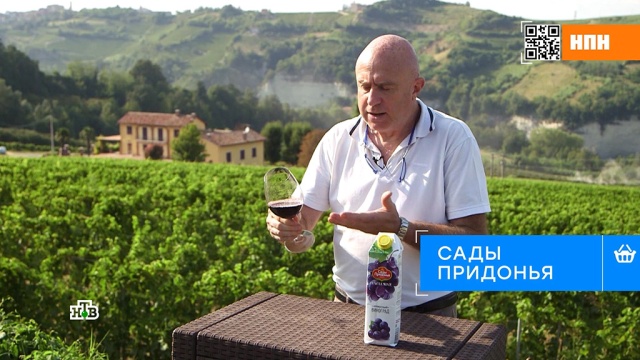 «Пахнет землей»: итальянский эксперт оценил виноградный сок из России.
алкоголь, Италия, магазины, продукты.
НТВ.Ru: новости, видео, программы телеканала НТВ «Пахнет землей»: итальянский эксперт оценил виноградный сок из России.
алкоголь, Италия, магазины, продукты.
НТВ.Ru: новости, видео, программы телеканала НТВ