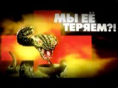 ������ �� 24&nbsp;���� 2012&nbsp;����. &laquo;��������: �� �� ������?&raquo;. ���.Ru: �������, �����, ��������� ���������� ���