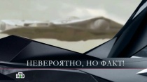 &laquo;����������, �� ����!&raquo;. &laquo;����������, �� ����!&raquo;. ���.Ru: �������, �����, ��������� ���������� ���