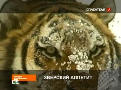 ������ �� 2&nbsp;������� 2011&nbsp;����. &laquo;�������� �������&raquo;. ���.Ru: �������, �����, ��������� ���������� ���