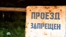 Костромская область. Следы лесной нечисти?  смотреть онлайн