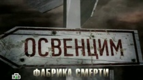 Фильмы из цикла "Освободители". «Освенцим — фабрика смерти» 12+  10 мая 2013