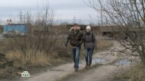 Сезон  серия 14