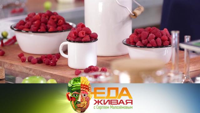 Живая Еда Книга Малоземов Купить